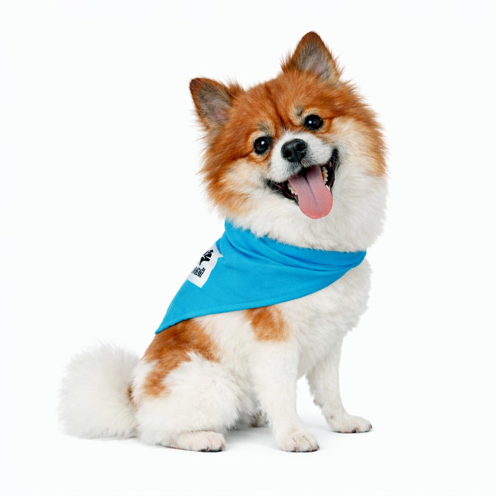 Choco’s Corner Pet Bandana