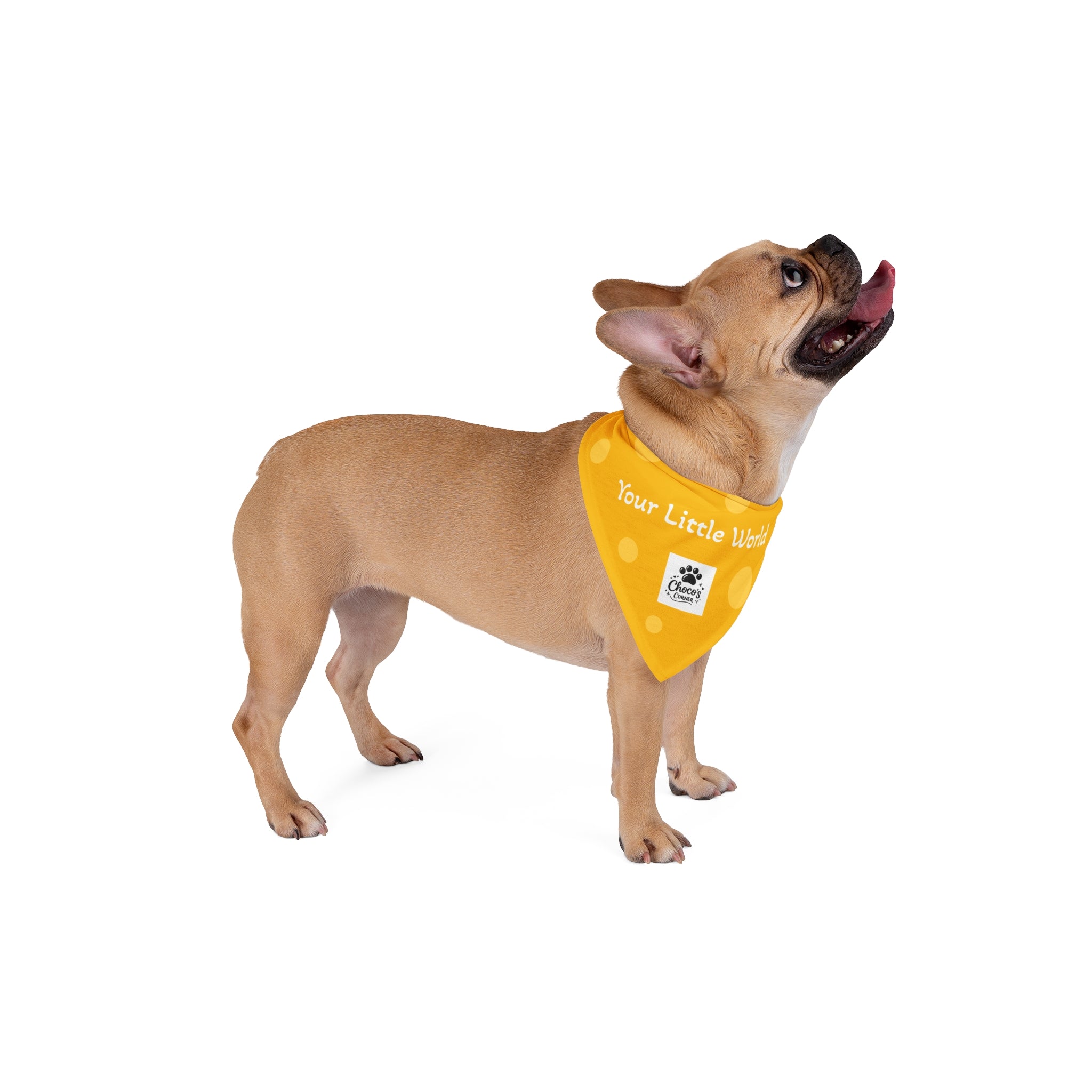 Choco’s Corner Dot Pet Bandana — "Your Little World"